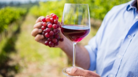 Industria vitivinicola