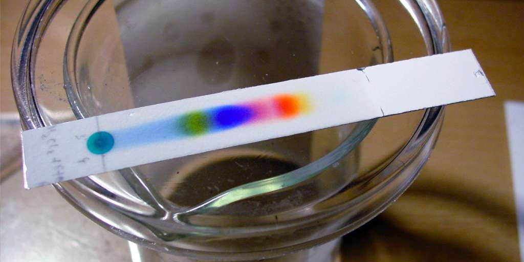 Principios de la cromatografía