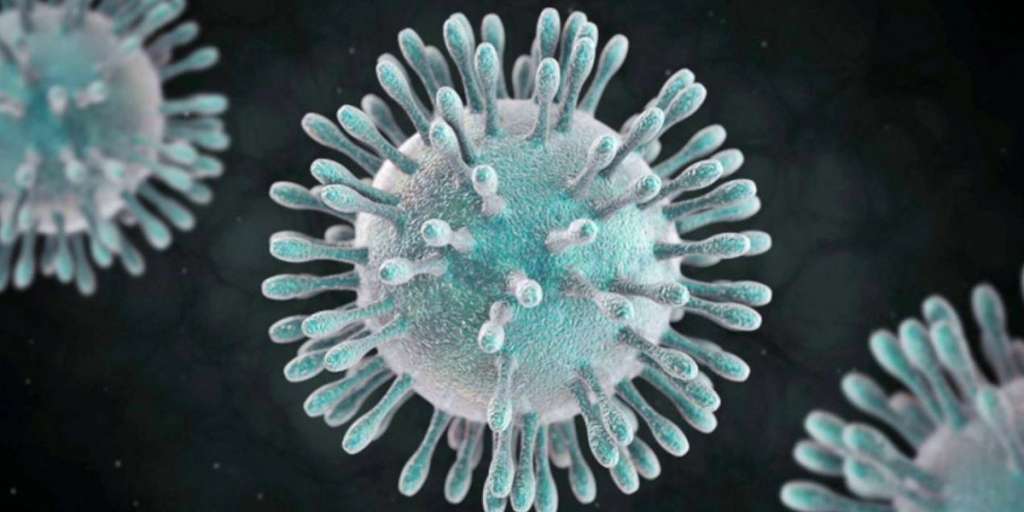 Persistencia de coronavirus en superficies inanimadas y su inactivación con agentes biocidas