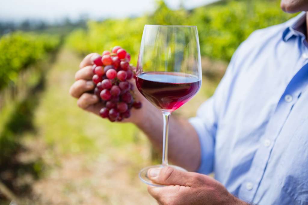 Industria vitivinicola